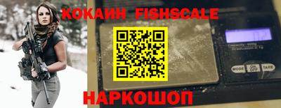 jwh Бийск