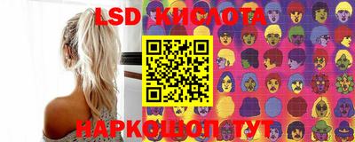 jwh Бийск