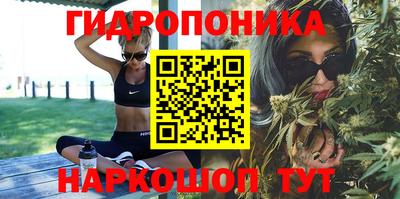 ГАЛЛЮЦИНОГЕННЫЕ ГРИБЫ Берёзовский