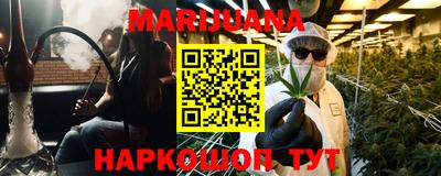 jwh Бийск