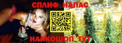 ГАЛЛЮЦИНОГЕННЫЕ ГРИБЫ Берёзовский