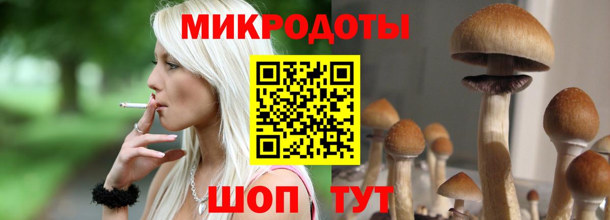 Галлюциногенные грибы MAGIC MUSHROOMS Кировск
